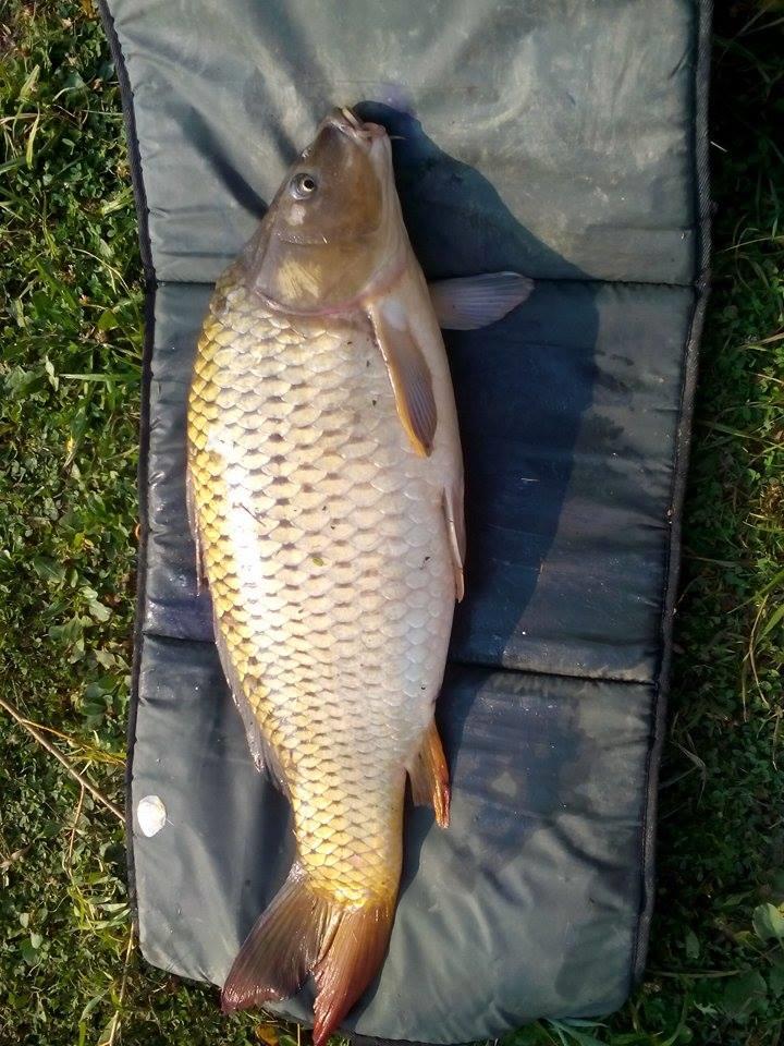 Ruganesti 1 - 3 septembrie 2015 - 119981709455162288519661458511825n.jpg